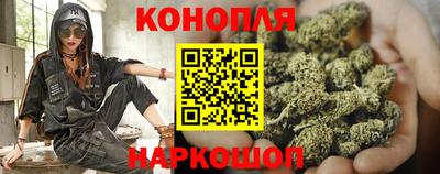 стафф Славянск-на-Кубани