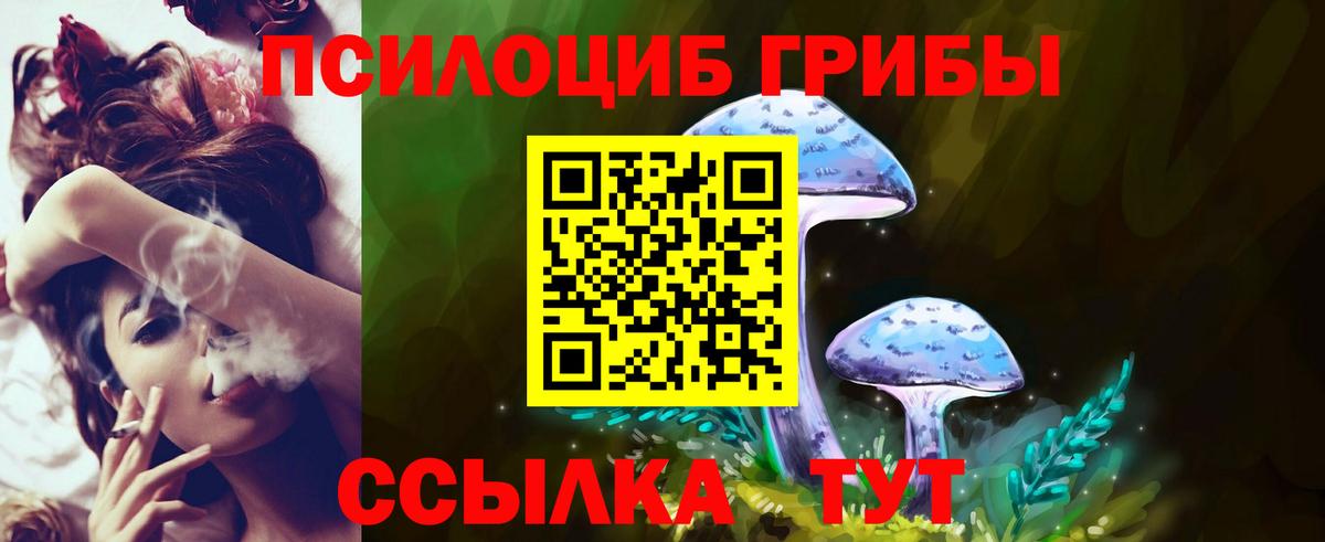Галлюциногенные грибы GOLDEN TEACHER Новоуральск